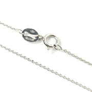 Load image into Gallery viewer, Platinum Rolo Chain