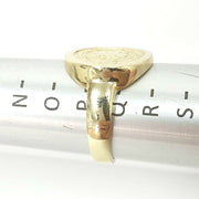 Load image into Gallery viewer, 9ct Gold Chelsea Football Club Ring