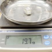 Load image into Gallery viewer, Silver Bulldog Ring